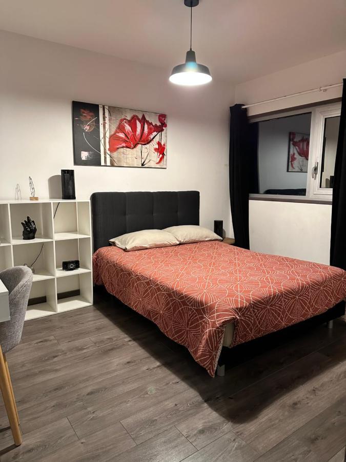Magnifique Loft - Hyper Centre Lägenhet Annemasse Exteriör bild